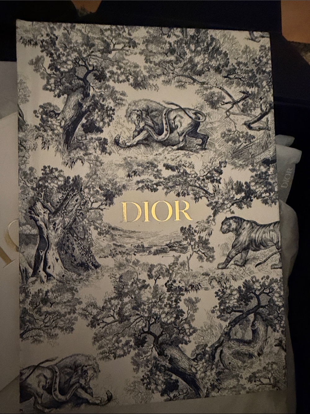 Dior notebook - Picture 2 of 7